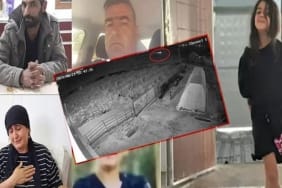 17327295232042219732