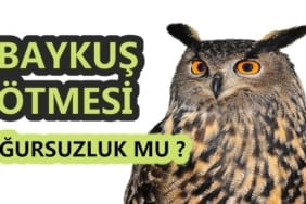 17328899571875034963