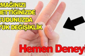 17328941131692119514