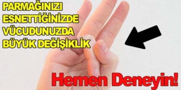 17328941131692119514