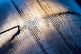 17333056411608920089