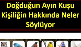 17333203842000601115