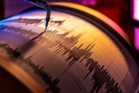 17334278411559272670