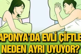 17335090661254417858