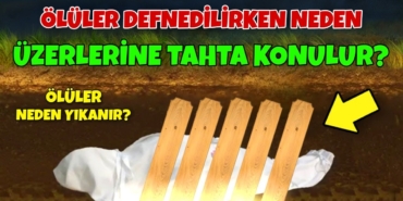 1733598710191884941