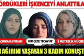 17342684681275081152