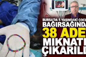 17344401621717472088