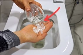 17346213082073985686