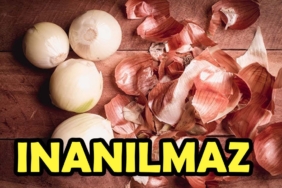 17346232191150390779