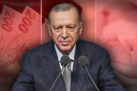 17450592451674303352