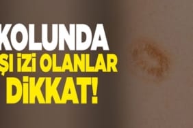 17452310342139368061