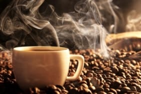 17453409401477028879