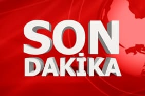 17454007921022929143