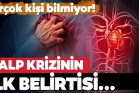 17455959811643296481