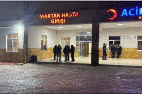 17463683712123291132