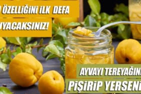 17464754961484383739