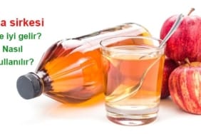 17465641261319619284