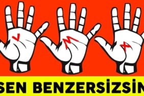 17471464631933190443