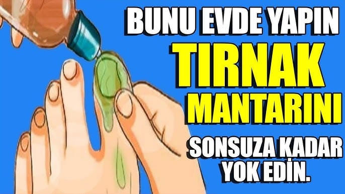 17477563811015427865