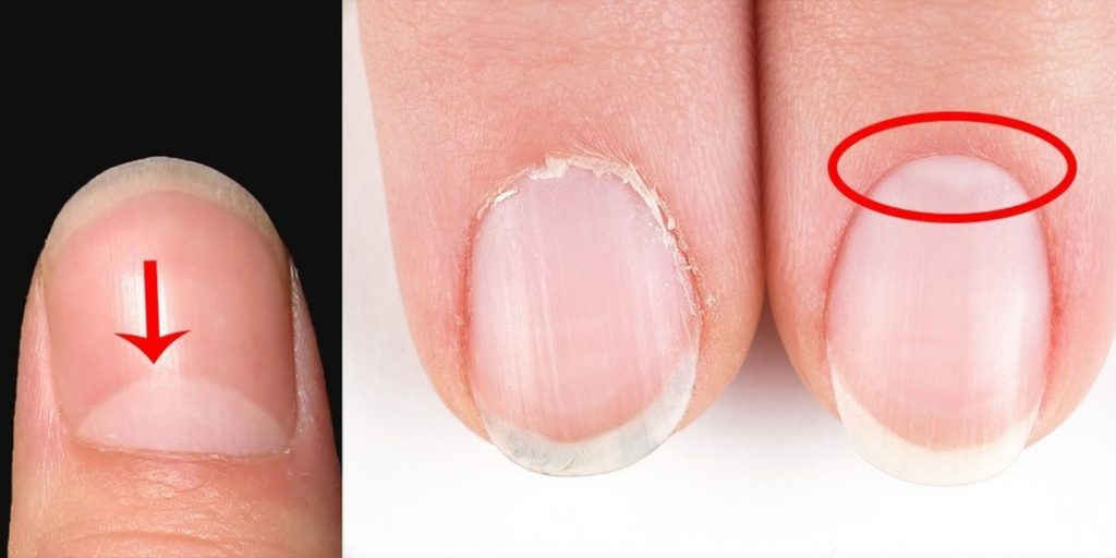 17481024631438910560