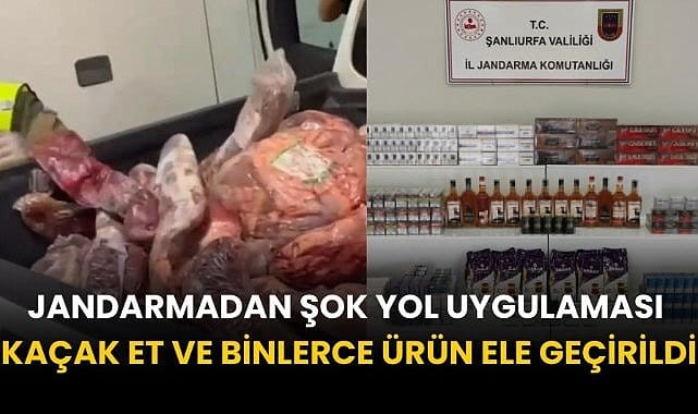 17483590811843694080