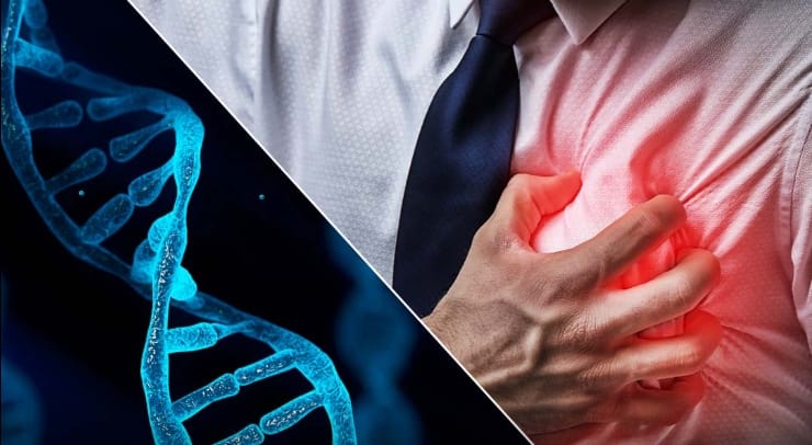 17490362861108060321