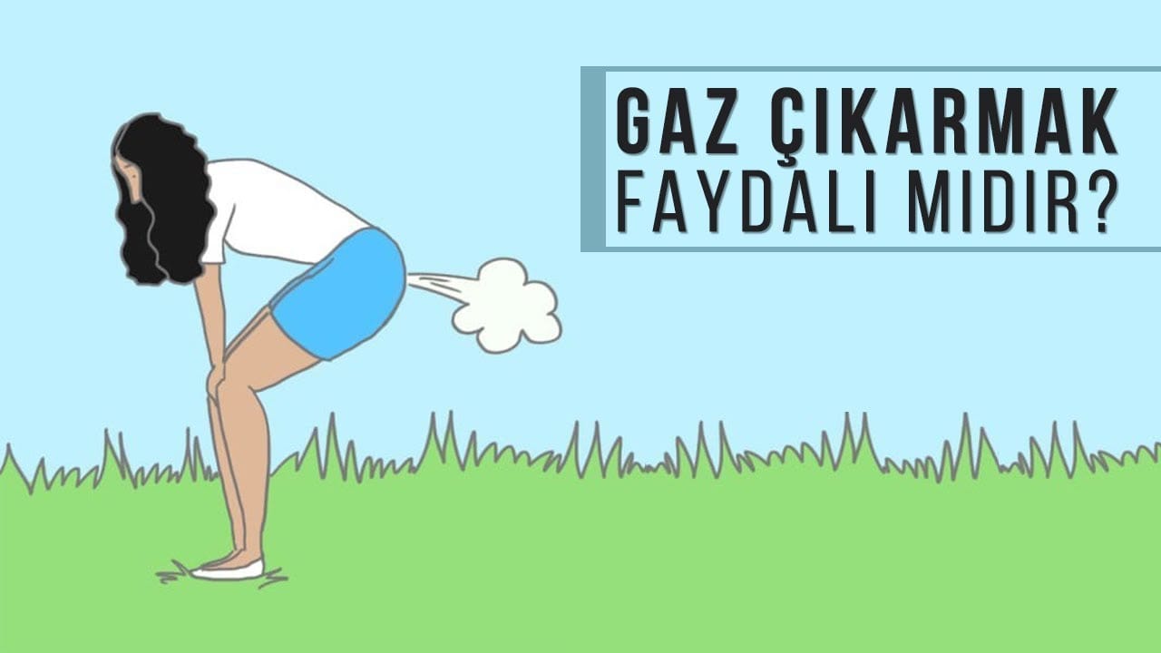 17491593371804425221