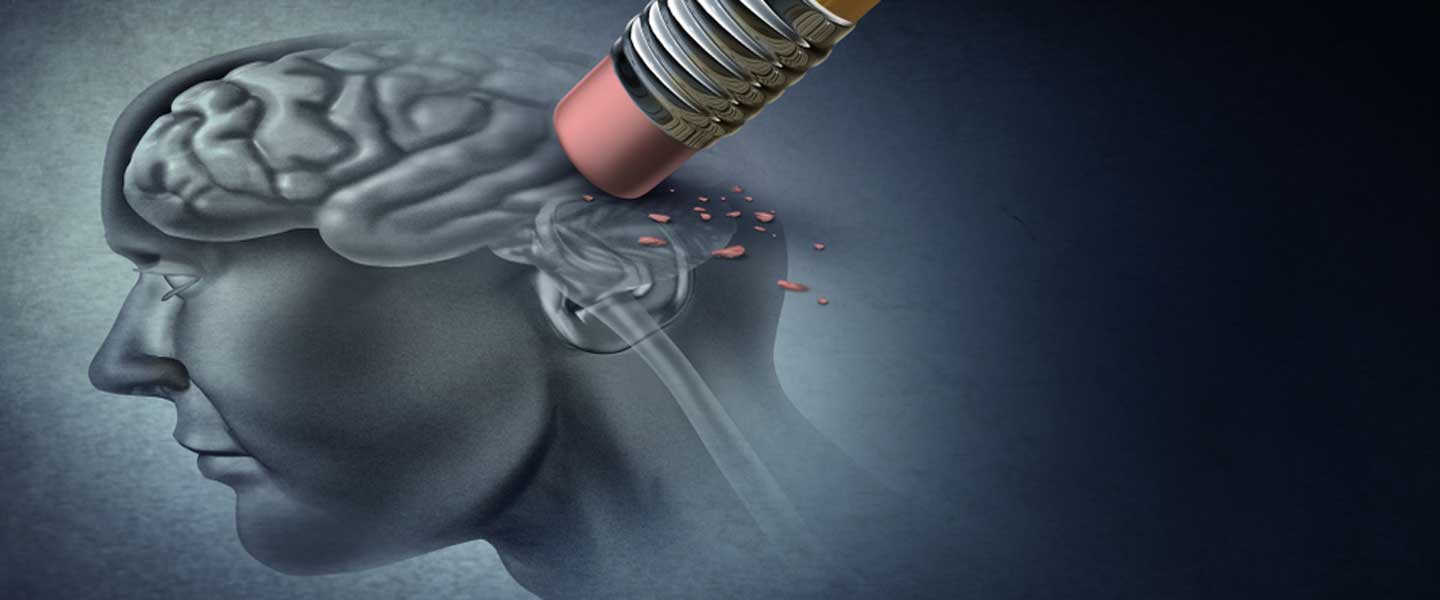 17498269681210317253