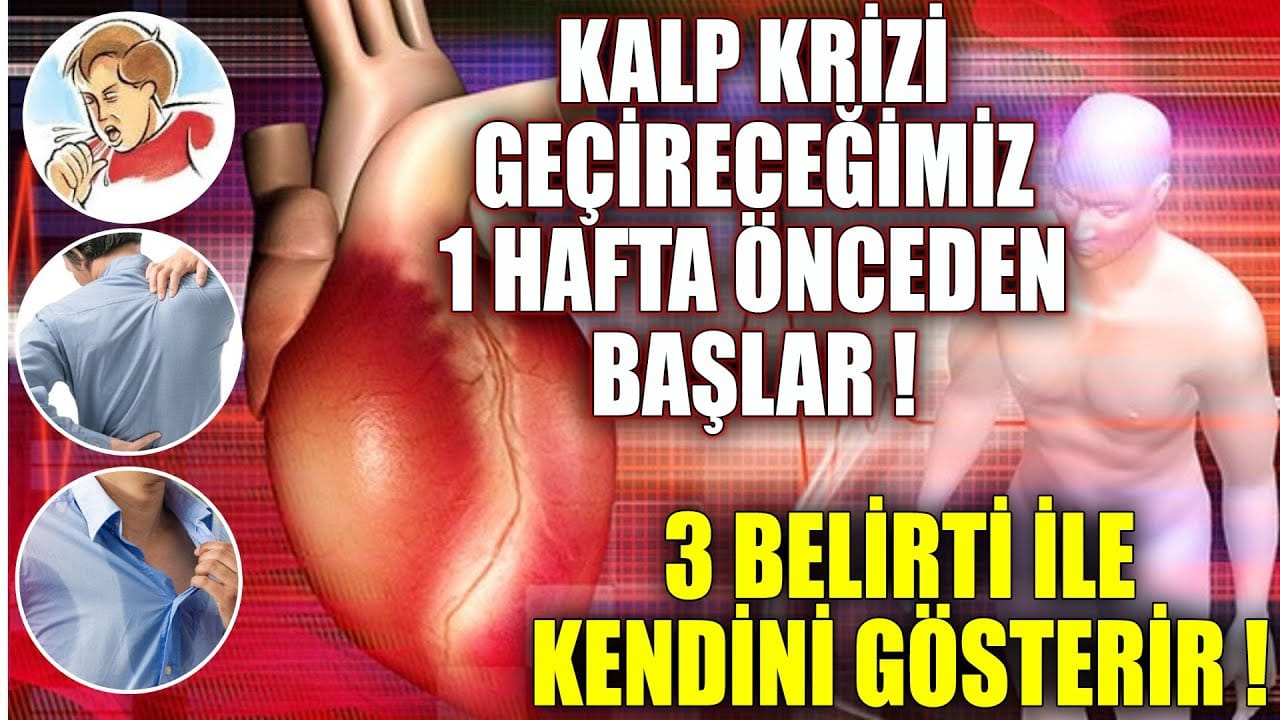 17499155391622597641