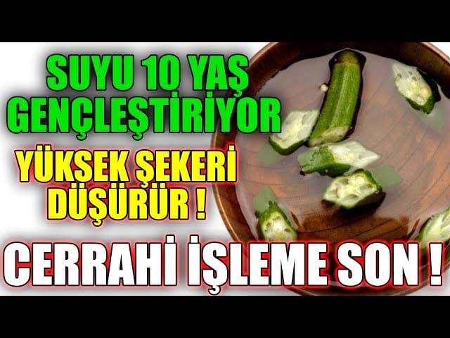 17500051991694715856