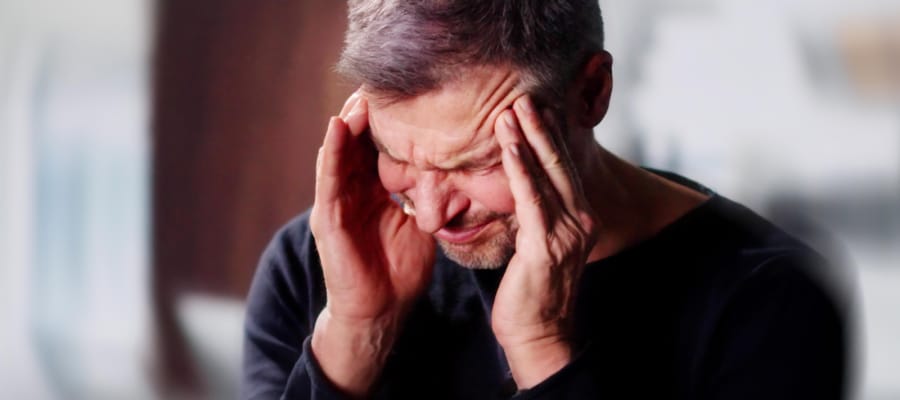 17500153981916236861