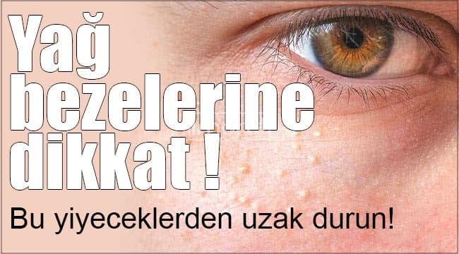 17500743921237518505