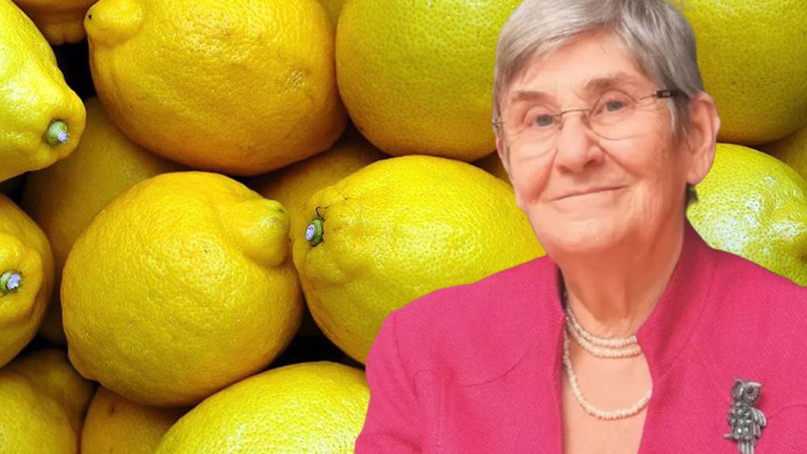 17513711331062292728