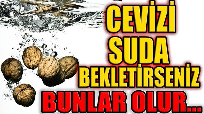 17518868751010277814