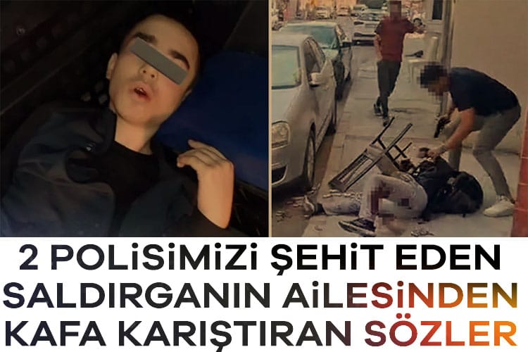 17574116691861886731