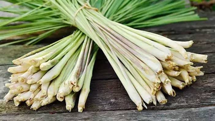 17618501562071187610