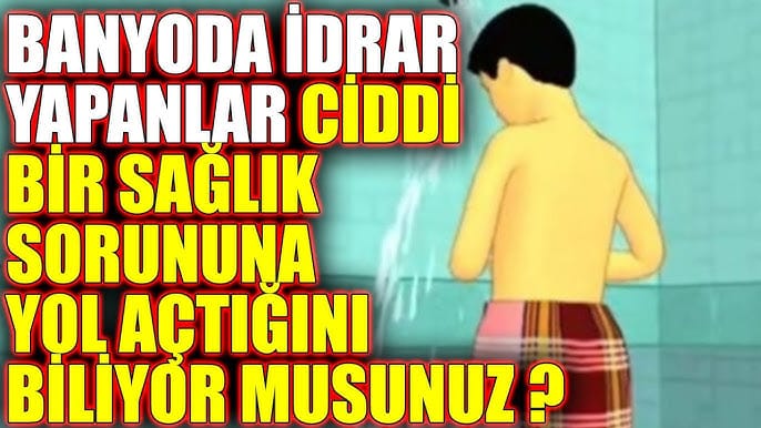 17618582651071114811