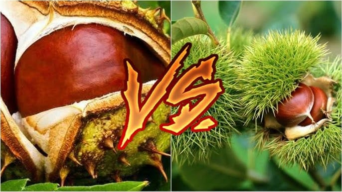 17636640121402152264