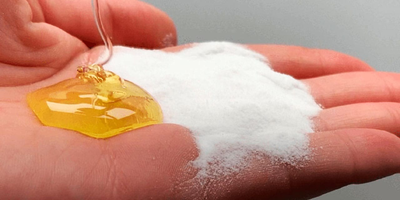 17637204341008706416