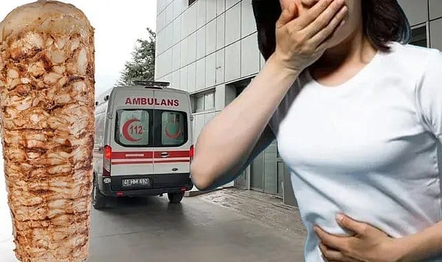 17638186791636395054