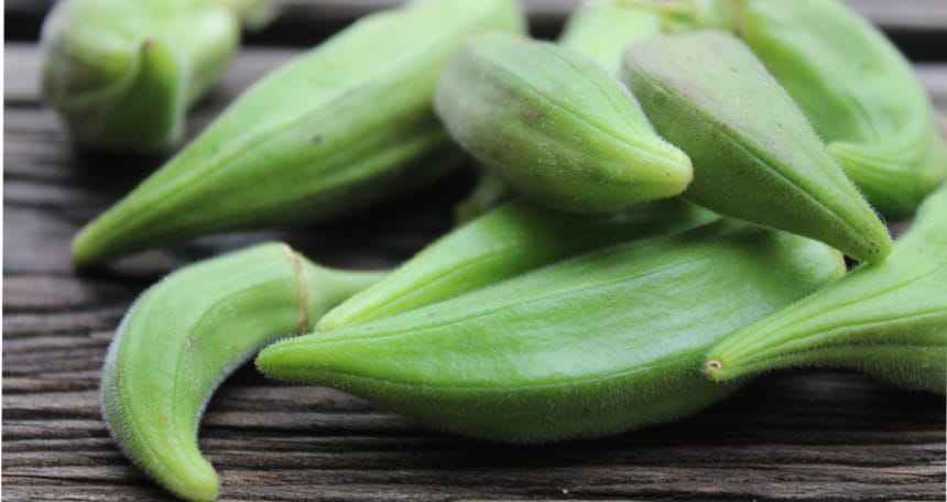 17662387831182886259