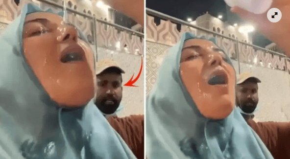 17662434931243983804