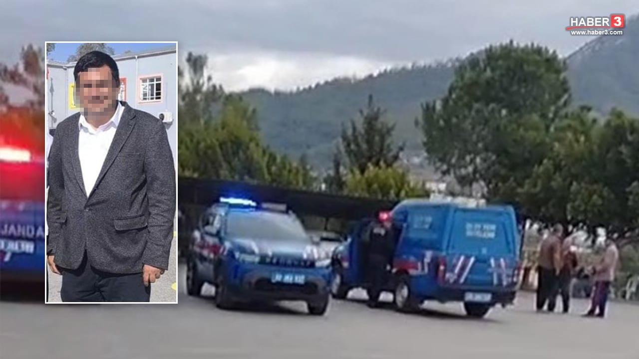 17665117951992819738