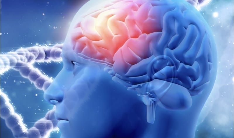 17666931951878603090