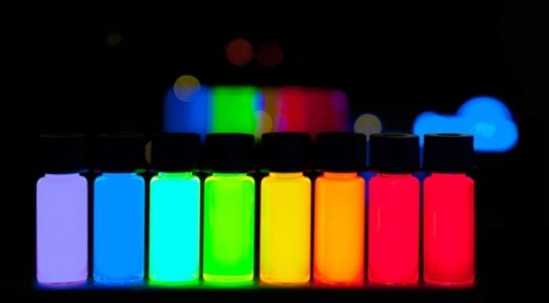 17667492391936984197