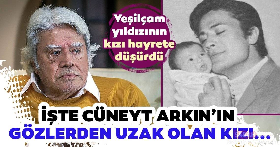 17668564752076209528