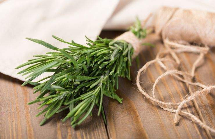 17670068441930911455