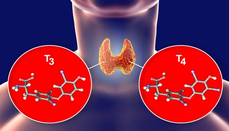 17673018691919358379