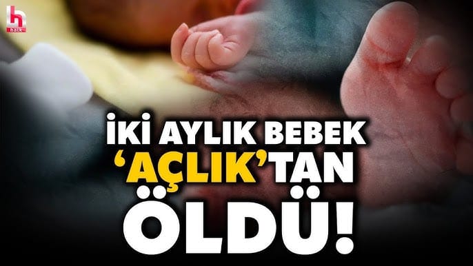 17674326751269579318