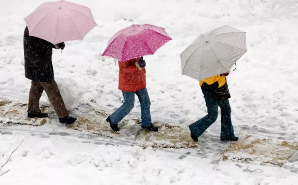 17677099442105640226